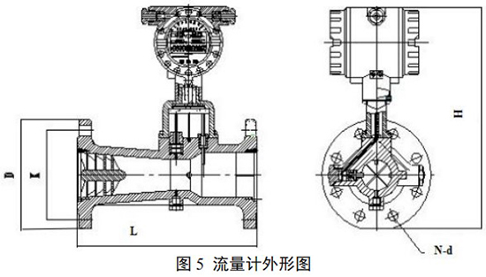 高壓旋進(jìn)旋渦流量計(jì)外形圖